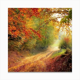 Autumn Road In The Forest Photo Canvas Print