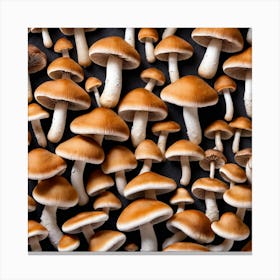 Many Mushrooms On A Black Background 3 Canvas Print