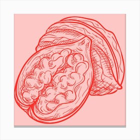 Pomegranate 4 Canvas Print