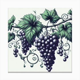 Line Art grapes and vines 3 Canvas Print