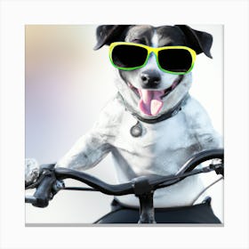 Black And White Jack Russel Riding Bicycle Canvas Print