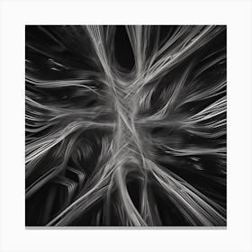 Abstract Black And White Image 2 Canvas Print