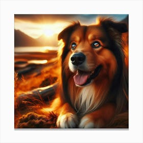 Collie Dog Canvas Print