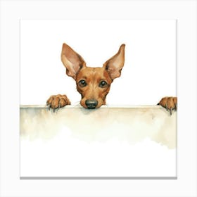 Dachshund 11 Canvas Print