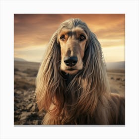 Afghan Hound 1 Canvas Print