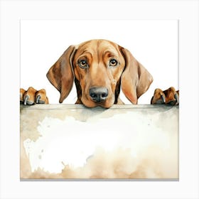 Dachshund 26 Canvas Print