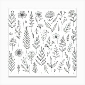 Hand Drawn Flowers And Leaves Canvas Print