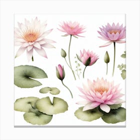 Water lily 3 Canvas Print