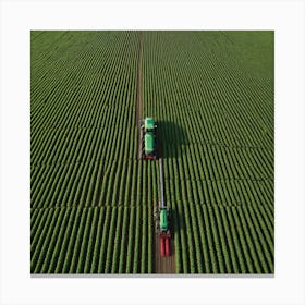 Aerial View Of A Corn Field 3 Canvas Print