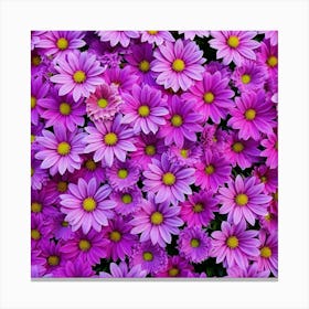 Purple Daisies Canvas Print