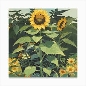 Sunflower 🌻 🌻 🌻  Canvas Print