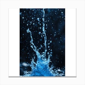 Water Splash Canvas Print