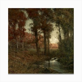 Stream In The Woods 4 Canvas Print