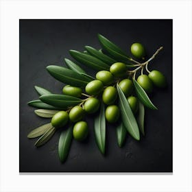 Olive Branch On A Black Background Canvas Print