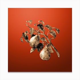 Gold Botanical Wild European Pear on Tomato Red n.0358 Canvas Print
