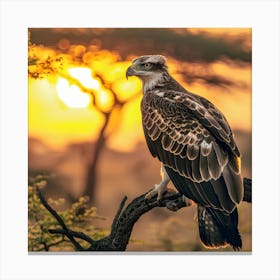 Majestic Eagle at Sunset – Nature’s Untamed Beauty Canvas Print