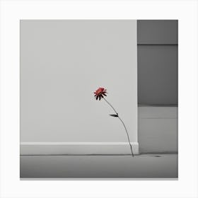 Flower In The Corner Canvas Print