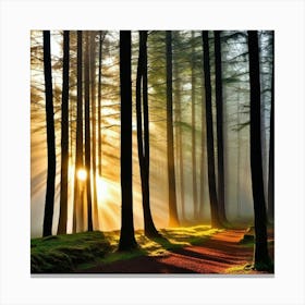 Sunrise In The Forest 34 Canvas Print