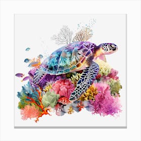 Sea Turtle On Coral Reef Canvas Print