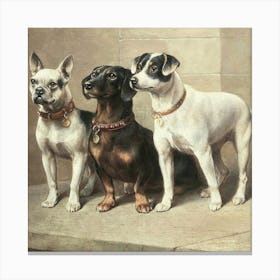 Dogs 1 Canvas Print