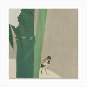 Bird In A Bamboo Forest Canvas Print