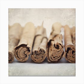 Cinnamon Sticks Canvas Print