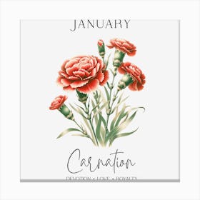 Carnations January Birthday Canvas Print