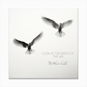 Look At The Birds Of The Air Canvas Print