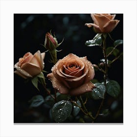 Roses In The Rain 1 Canvas Print