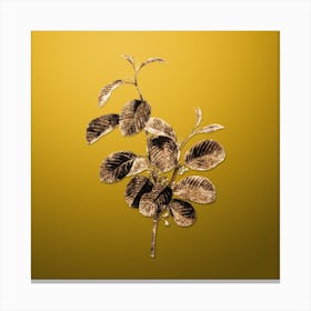 Gold Botanical Alpine Buckthorn Plant on Mango Yellow n.1349 Canvas Print