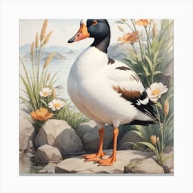 Duck On Rocks Canvas Print