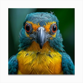 Parrot, Parrots, Parrots 1 Canvas Print