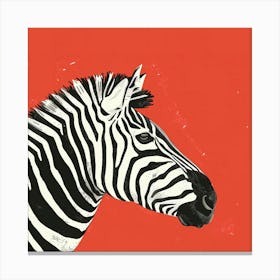 Animal Zebra On Red Background Canvas Print