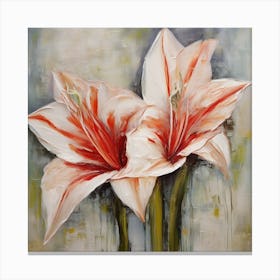 Flower of Hippeastrum 1 Canvas Print