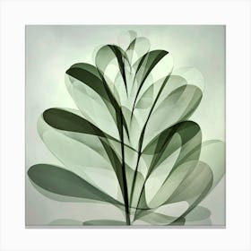 Abstract Leaf Canvas Print