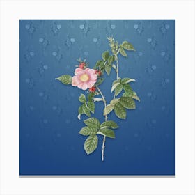 Vintage Big Flowered Dog Rose Botanical on Bahama Blue Pattern n.1042 Canvas Print