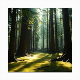 Mossy Forest 9 Canvas Print