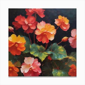 Resilient begonia's transformative beauty. Canvas Print