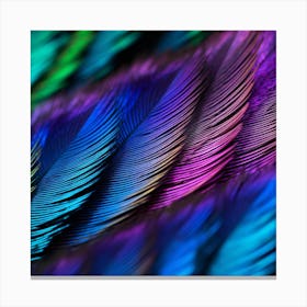 Feathers Stock Videos & Royalty-Free Footage Canvas Print