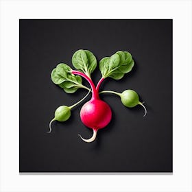 Radish On Black Background Canvas Print