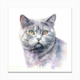 Australian Mist Shorthair Cat Portrait 1 Canvas Print