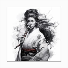Samurai Girl drawing 2 Canvas Print