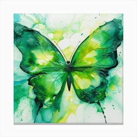 Green Butterfly Canvas Print