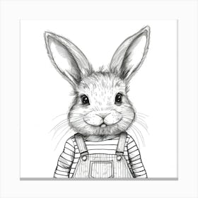 Rabbit In Overalls Canvas Print