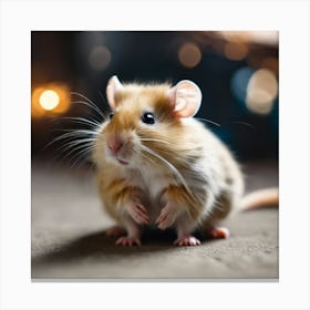 Hamster 1 Canvas Print