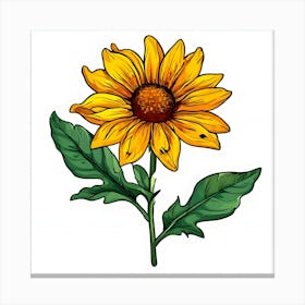 Sunflower 3 Canvas Print