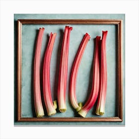 Rhubarb 67 Canvas Print