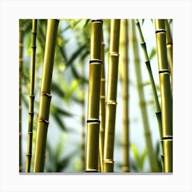 Bamboo Forest 3 Canvas Print