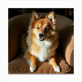 Dog Sitting On A Chair Canvas Print