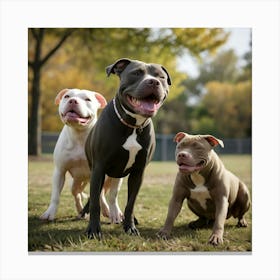 Pitbull Dogs Having A Play Date Canvas Print